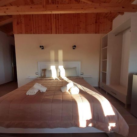 Guest House Luiza ボルシュ 部屋 写真