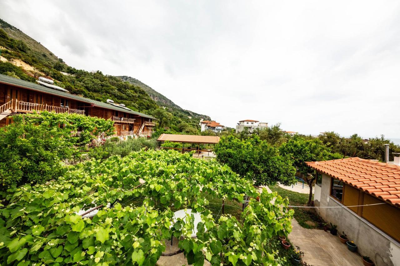 Guest House Luiza ボルシュ エクステリア 写真